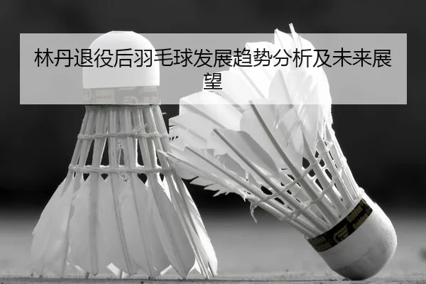 lin-dan-tui-yi-hou-yu-mao-qiu-fa-zhan-qu-shi-fen-xi-ji-wei-lai-zhan-wang-2-351.jpg