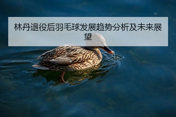 林丹退役后羽毛球发展趋势分析及未来展望