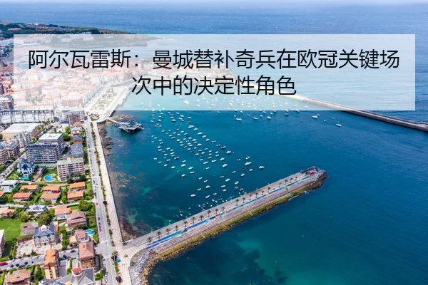 a-er-wa-lei-si-man-cheng-ti-bu-qi-bing-zai-ou-guan-guan-jian-chang-ci-zhong-de-jue-ding-xing-jue-se-3-349.jpg
