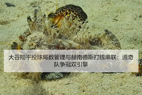 da-gu-xiang-ping-tou-qiu-ju-shu-guan-li-yu-he-nan-de-si-da-xian-chuan-lian-dao-qi-dui-zheng-guan-shuang-yin-qing-3-587.jpg