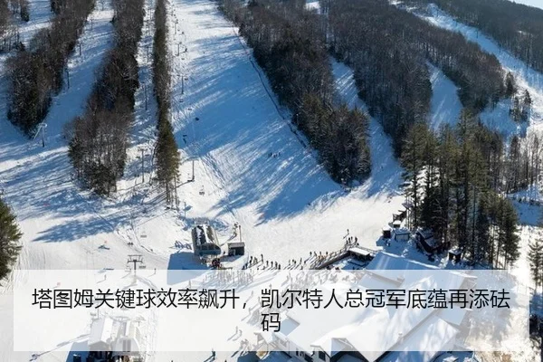 ta-tu-mu-guan-jian-qiu-xiao-lv-biao-sheng-kai-er-te-ren-zong-guan-jun-di-yun-zai-tian-fa-ma-2-632.jpg