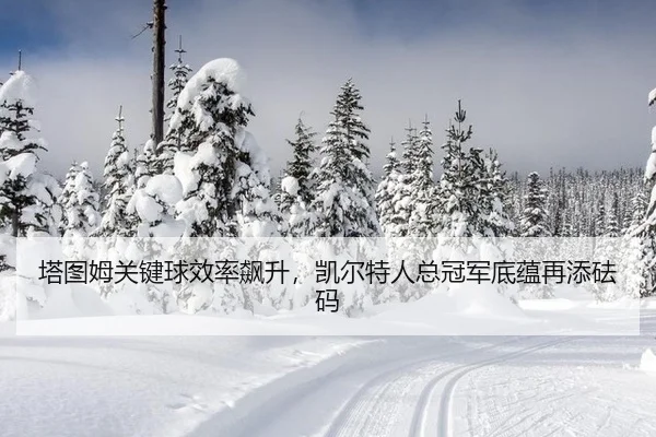 塔图姆关键球效率飙升，凯尔特人总冠军底蕴再添砝码