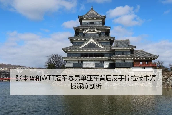 张本智和WTT冠军赛男单亚军背后反手拧拉技术短板深度剖析