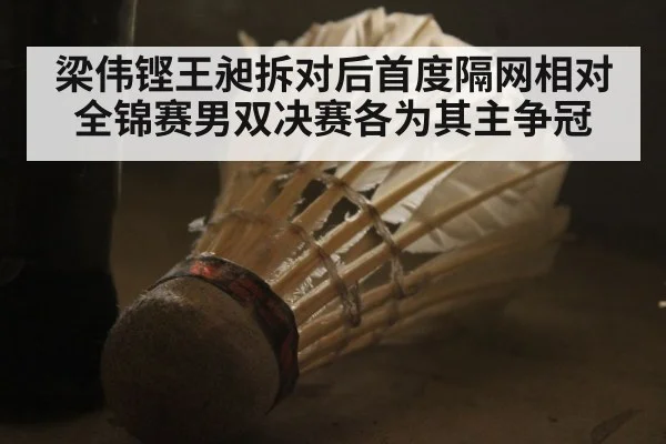 梁伟铿王昶拆对后首度隔网相对 全锦赛男双决赛各为其主争冠