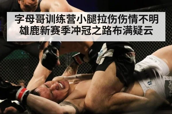 字母哥训练营小腿拉伤伤情不明 雄鹿新赛季冲冠之路布满疑云